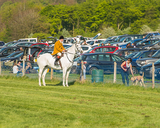 The Members race