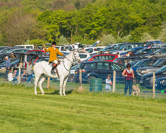 The Members race