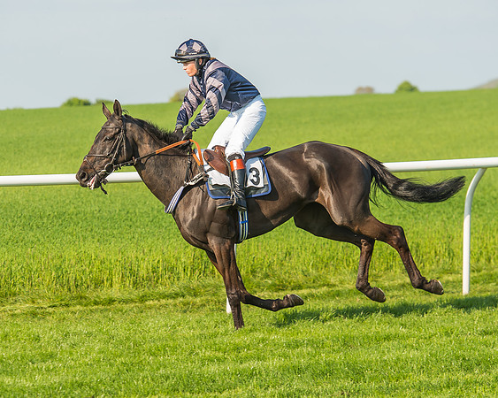 The Members race