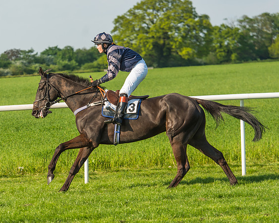 The Members race