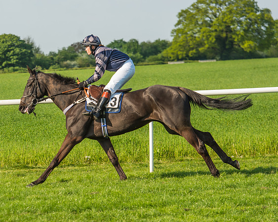 The Members race
