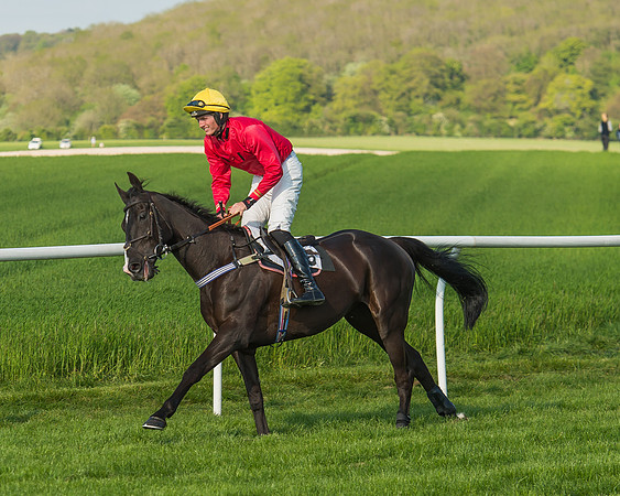 The Members race