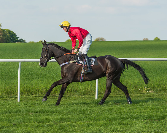 The Members race