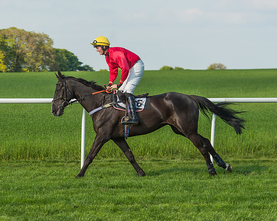 The Members race