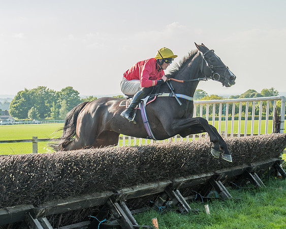 The Members race