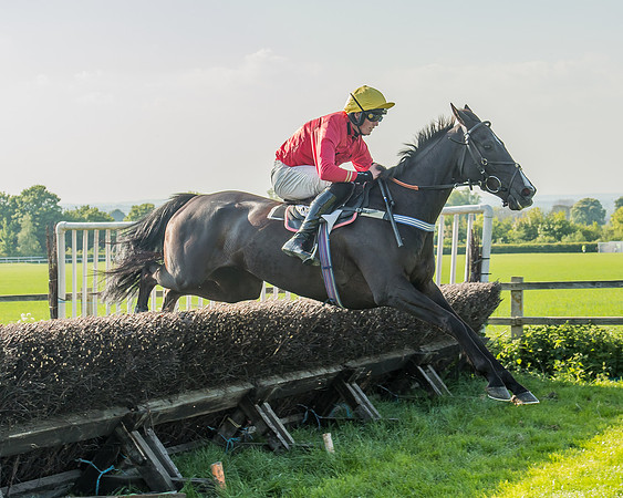 The Members race