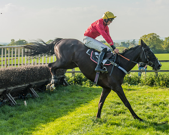 The Members race