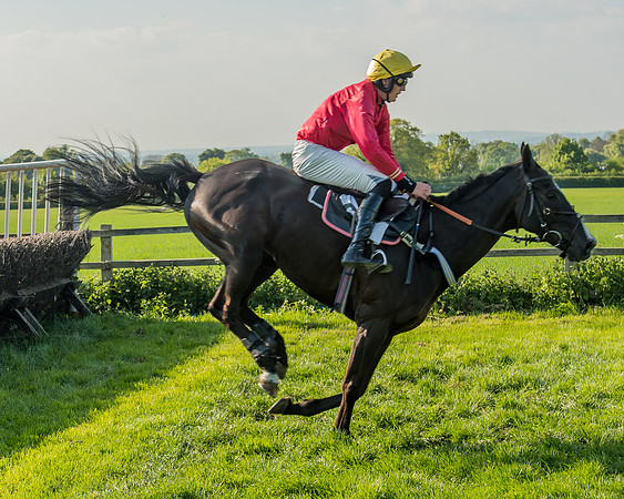 The Members race
