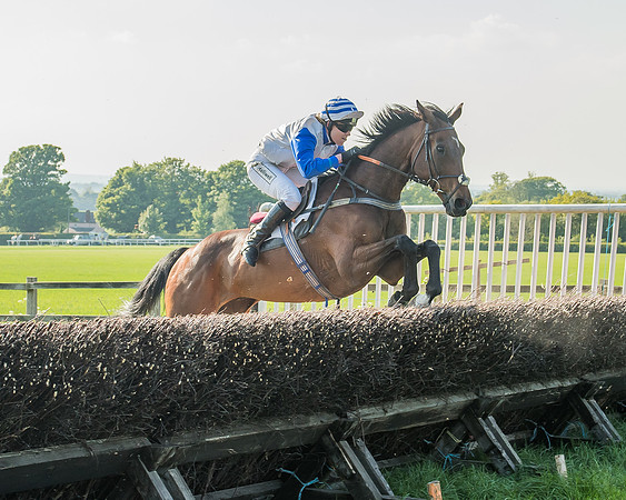 The Members race