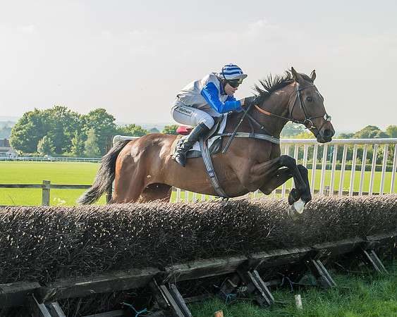 The Members race