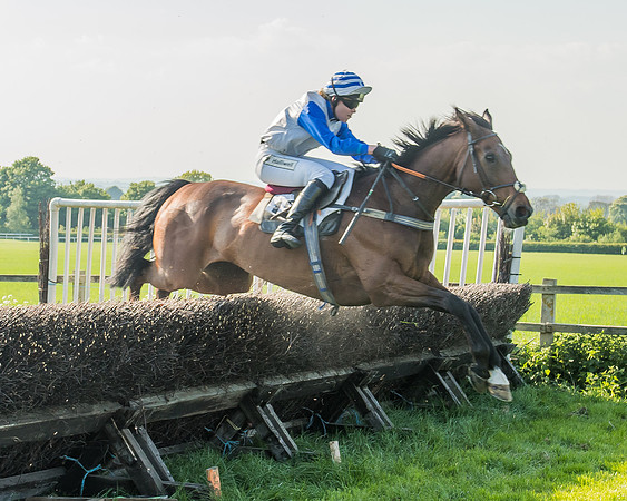 The Members race