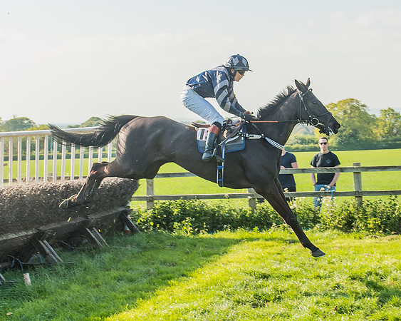 The Members race
