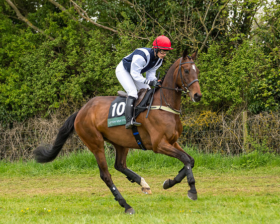 Race 7 - Open Maiden  (8 of 106)