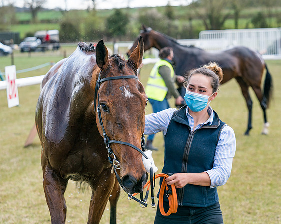 Race 7 - Maiden-89