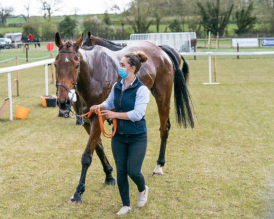 Race 7 - Maiden-88