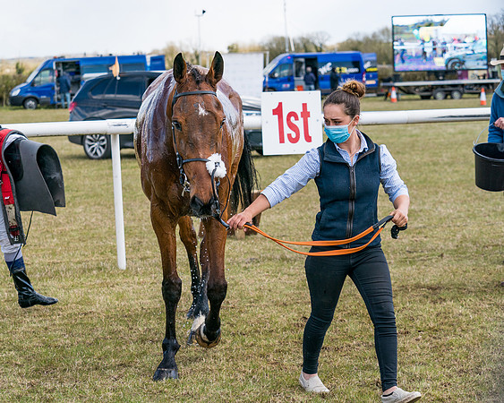 Race 7 - Maiden-84