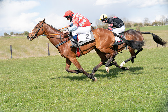 Race 7 - Maiden-76