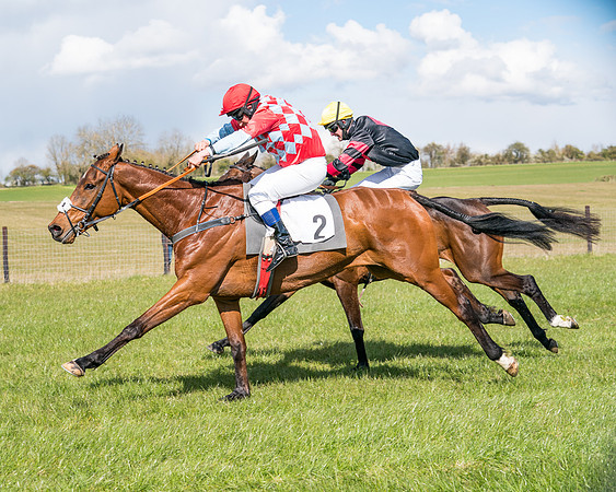 Race 7 - Maiden-74