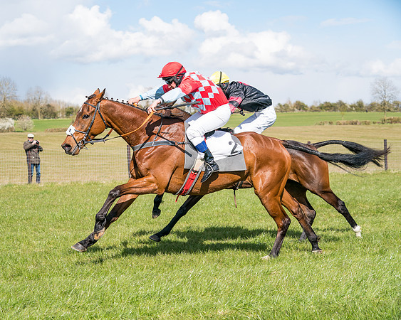 Race 7 - Maiden-73
