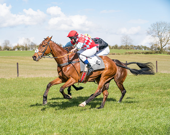 Race 7 - Maiden-72