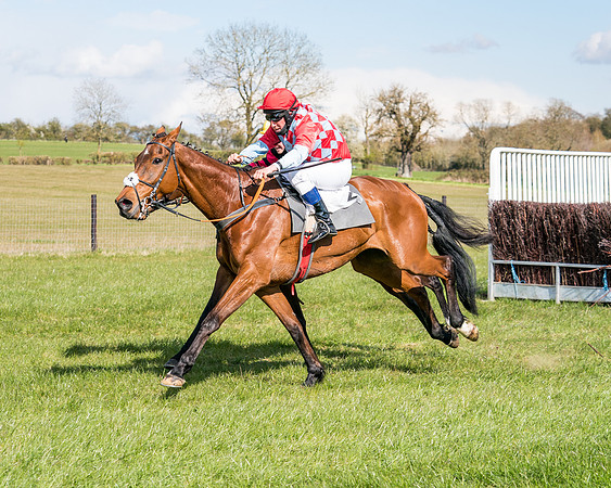 Race 7 - Maiden-71