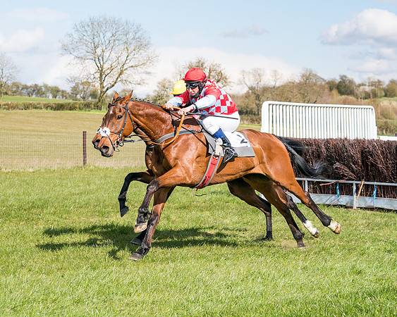 Race 7 - Maiden-70