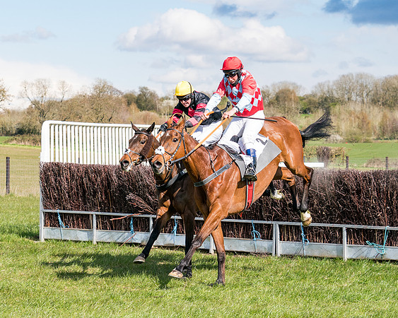Race 7 - Maiden-69