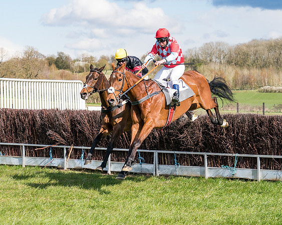 Race 7 - Maiden-68