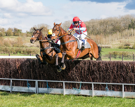 Race 7 - Maiden-66