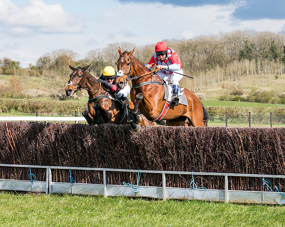 Race 7 - Maiden-65