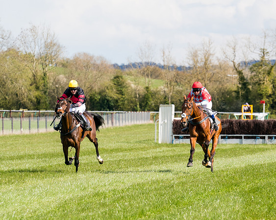 Race 7 - Maiden-62