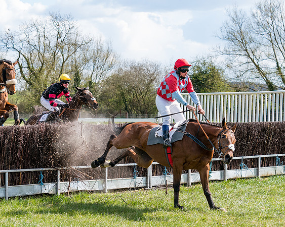 Race 7 - Maiden-54