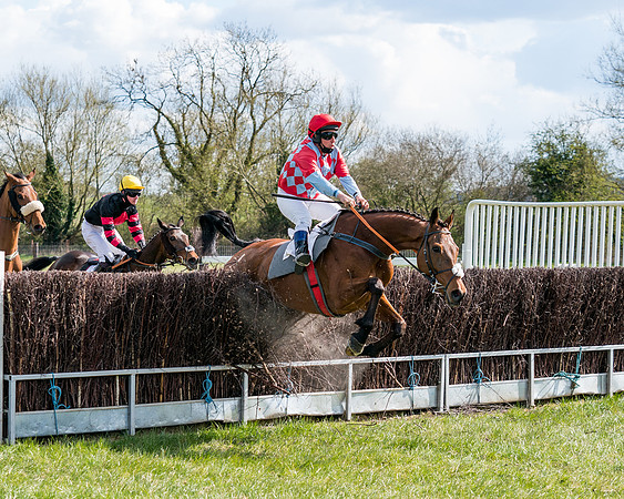 Race 7 - Maiden-52