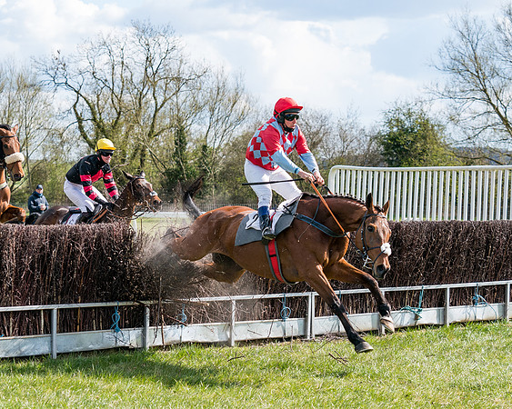 Race 7 - Maiden-53