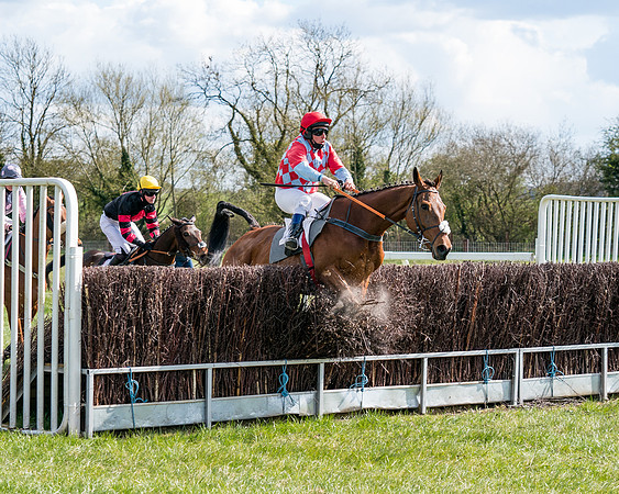 Race 7 - Maiden-51