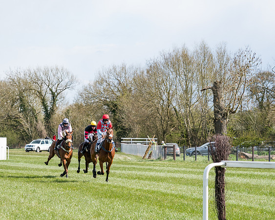 Race 7 - Maiden-50