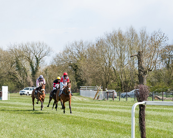 Race 7 - Maiden-49