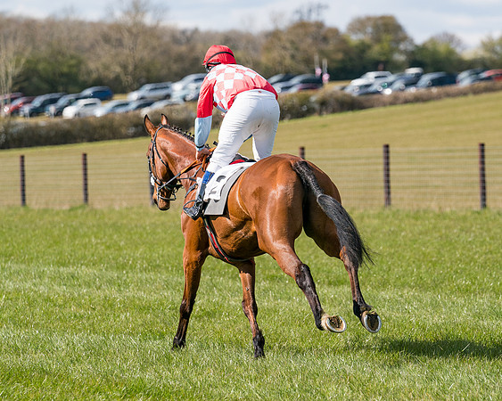 Race 7 - Maiden-46