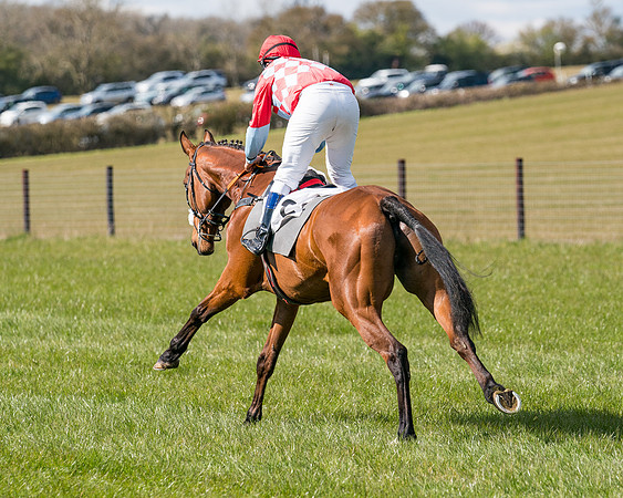 Race 7 - Maiden-45