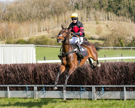 Race 7 - Maiden-43