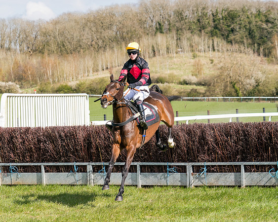 Race 7 - Maiden-44