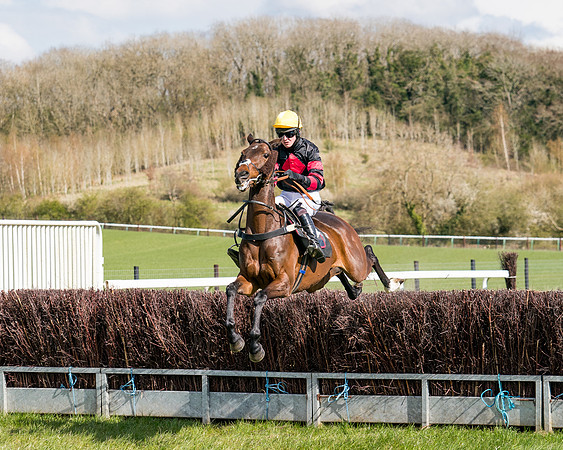 Race 7 - Maiden-42