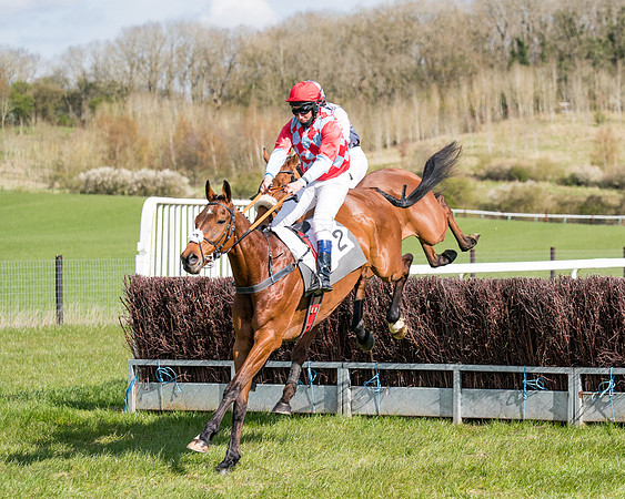 Race 7 - Maiden-41
