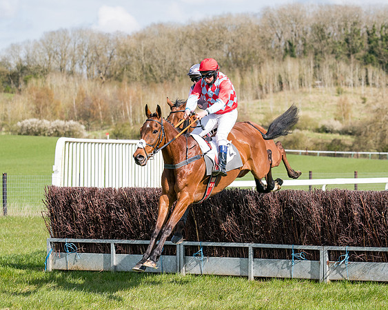 Race 7 - Maiden-40