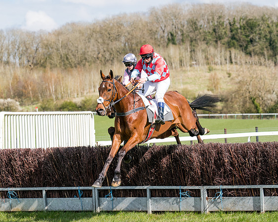 Race 7 - Maiden-39