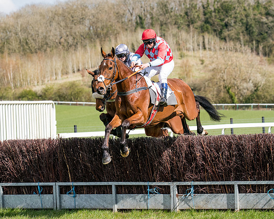 Race 7 - Maiden-38