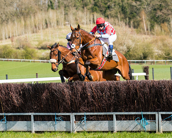 Race 7 - Maiden-36