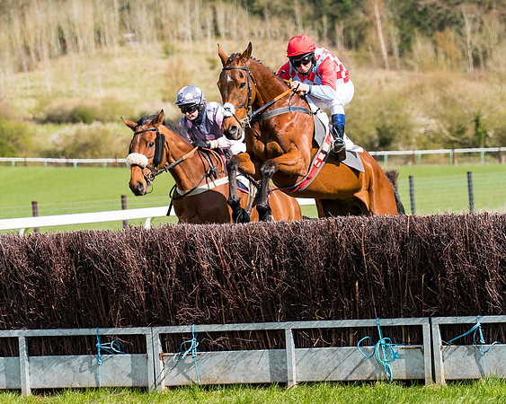 Race 7 - Maiden-35