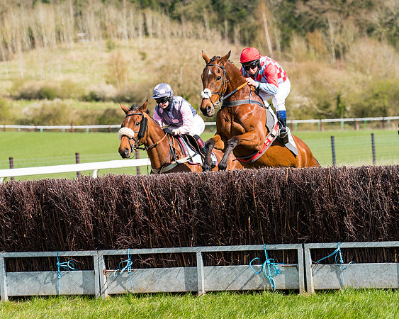 Race 7 - Maiden-34