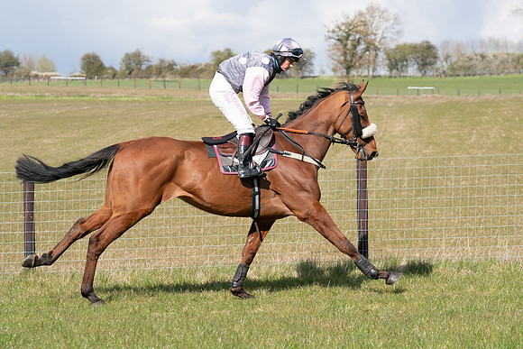 Race 7 - Maiden-32